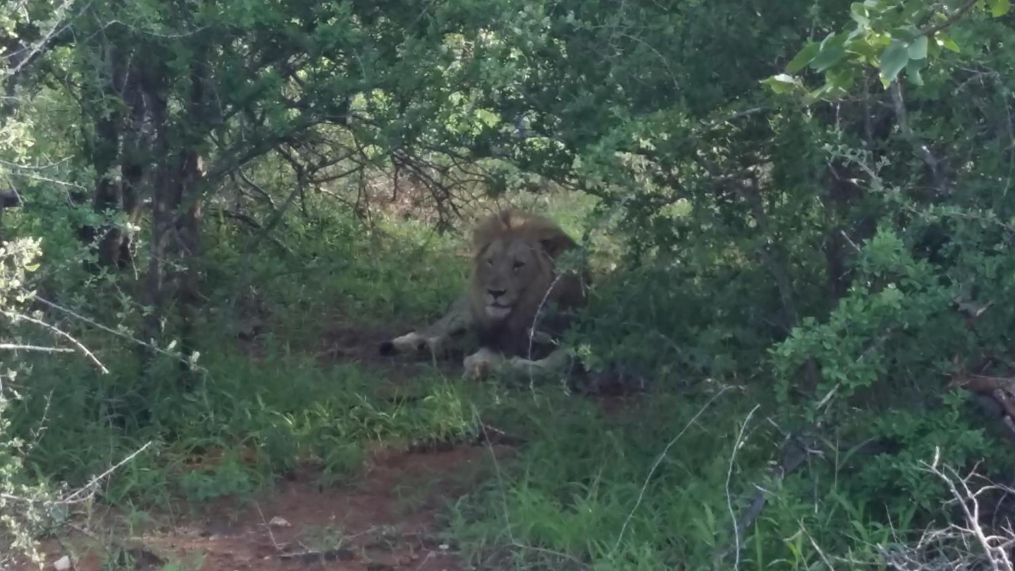 Grietjie Game Reserve Muweti Bush Lodge מראה חיצוני תמונה