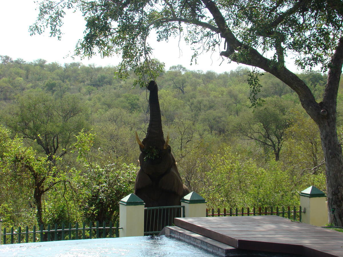 Grietjie Game Reserve Muweti Bush Lodge מראה חיצוני תמונה